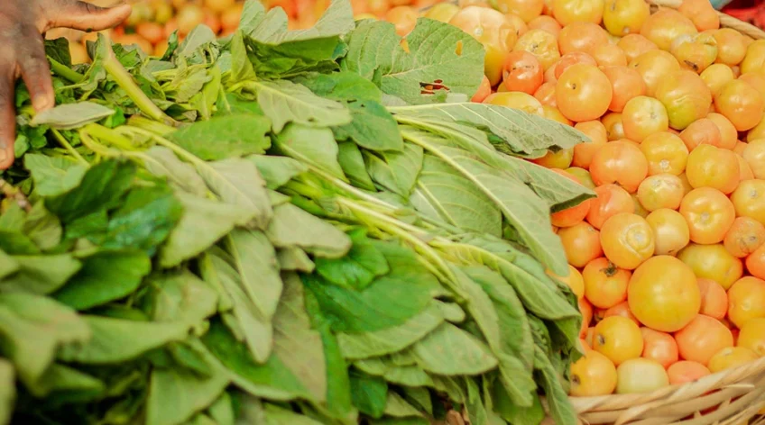 Ultrices sagittis orci a scelerisque purus semper eget duis at. Sollicitudin nibh sit amet.